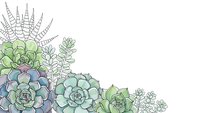 Watercolor succulent plants corner border arrangement with green and purple tones on white background for botanical design projects and decorations.