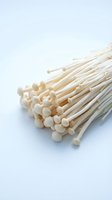 Bunch of enoki mushrooms with long thin stems and small round caps isolated on white background, suitable for food photography, cooking, and culinary design projects.
