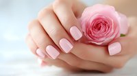 Elegant female hands with light pink manicure holding delicate rose flower against soft white background. Perfect for beauty and nail salon advertising.