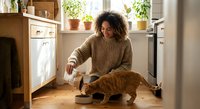 Young African American woman feeding orange tabby cat in modern kitchen with wooden cabinets and plants on windowsill during morning routine.