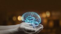 Glowing blue holographic brain floating above open human hands against warm bokeh background for neuroscience and mental health concepts.