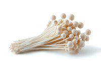 Fresh white enoki mushrooms bunch isolated on white background, raw organic Japanese fungi with long stems and small caps for Asian cuisine.