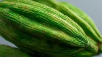 Fresh striped green zucchini close-up showing natural texture and pattern of vegetable skin in macro photography. Suitable for healthy eating and cooking blogs.