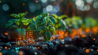 Young green plant seedling growing in soil with magical bokeh lights in background, representing hope, growth and new beginnings in nature photography.