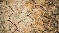 Cracked, parched earth with deep fissures shows severe drought conditions and soil degradation, suitable for environmental, climate change, and sustainability content.