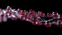 Red translucent spheres connected by silver metallic threads create elegant molecular structure against dark background, macro photography highlighting scientific concept.