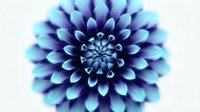 Symmetrical dahlia flower with layered petals in shades of blue and purple, featuring intricate spiral pattern at center. Isolated on white background for design projects.