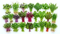 Fresh microgreens and herbs collection isolated on white background featuring variety of leafy vegetables and sprouts for healthy cooking and nutrition.