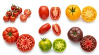 Colorful tomato varieties collection showing red cherry, plum, yellow, purple and green heirloom tomatoes whole and sliced isolated on white background.