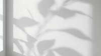Soft natural leaf shadows cast on white wall creating organic botanical silhouette patterns for minimalist interior design and modern home decor backgrounds.