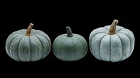Isolated green pumpkins on transparent background, ready for t-shirt design, clipart, stickers, print-on-demand products, sublimation and digital crafts.