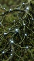 Enchanted forest floor with glowing LED fairy lights wrapped around moss-covered tree roots creating magical woodland atmosphere for holiday decorating.
