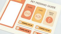 Pet feeding guide infographic with schedule cards for dogs, cats and small pets showing morning and evening feeding times with bone and fish icons.