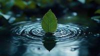 Green leaf creating concentric ripples on dark water surface with reflection, zen-like composition capturing tranquil nature moment in macro photography.