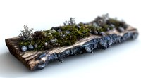 Decaying wooden log covered with vibrant green moss and lichen, isolated on white background, suitable for nature designs and environmental graphics.