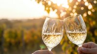 Two hands toasting with white wine glasses at sunset in vineyard with golden bokeh lights creating romantic atmosphere for celebration and leisure moments.