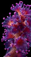 Vibrant pink and purple soft coral with delicate polyps against black background, showcasing intricate underwater marine life details.