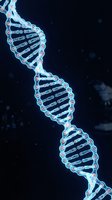 Glowing DNA double helix structure with blue and cyan illuminated strands against dark background, suitable for genetics, biotechnology, medical research, and science education materials.