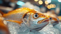 Fresh orange fish on ice display with bokeh lights background for seafood market restaurant menu culinary cooking ingredient preparation.