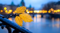 Yellow autumn leaves on dark branch against blurred city lights and water reflections at dusk create moody atmospheric scene with bokeh effect in blue tones.