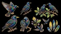Colorful starling birds isolated on transparent background, ready for t-shirt design, clipart, stickers, sublimation and print-on-demand projects.