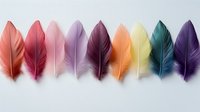 Colorful feathers arranged in row on light background, featuring pink, purple, orange, yellow and teal tones. Soft and delicate plumage creates gentle gradient effect.