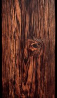 Rich mahogany wood grain texture with natural knot detail, showcasing warm reddish-brown tones and organic patterns for furniture design backgrounds.