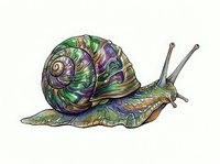 Colorful snail with spiral shell featuring purple, green, and gold tones, isolated on white background. Suitable for children's illustrations, educational materials, and design projects.