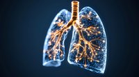Glowing human lungs with bronchial tree visualization showing detailed respiratory system anatomy in blue and orange colors against dark background for medical concept.