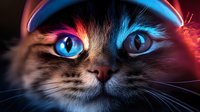 Close up portrait of cat face with bright neon blue eyes illuminated by vibrant red and blue lighting creating dramatic cyberpunk atmosphere for creative design projects.