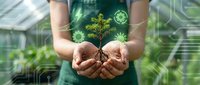 Young woman in green apron holding seedling with soil in greenhouse, displaying sustainable farming and environmental care for agricultural growth projects.