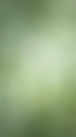Soft sage green gradient background transitioning from muted teal to pale celadon, ideal for web design, presentations, and digital marketing materials.