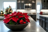 Red poinsettia plant with ornaments in black bowl on kitchen counter during Christmas holiday season with decorated tree in background.