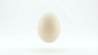 Single white chicken egg floating with soft shadow on clean white background for cooking and food design projects.
