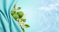 Fresh green leaves with delicate white flowers on soft turquoise silk fabric creating elegant natural botanical composition for spa and wellness designs.