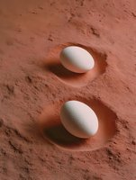 Two white eggs on textured terracotta clay powder surface with dramatic shadows creating minimalist food photography composition for culinary design projects.