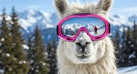 Funny llama wearing pink ski goggles in snowy mountain landscape with alpine trees and peaks in background for winter sports humor concept.