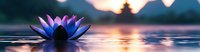 Purple and blue lotus flower floating on calm water surface at sunset with golden sky reflection creating serene panoramic nature scene.