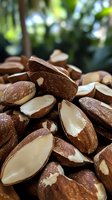 Fresh Brazil nuts in shell and sliced open showing creamy white flesh against brown shells, natural food ingredient for healthy eating.
