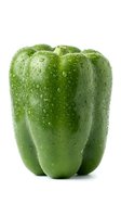 Fresh green bell pepper covered with water droplets, isolated on white background. Use for food, nutrition, healthy eating, cooking, and grocery concepts.