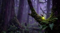 Mystical forest scene with glowing moss on ancient tree branches creating magical atmosphere in purple twilight woodland for fantasy projects.