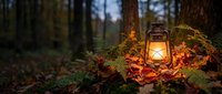 Vintage lantern glowing warmly among colorful autumn leaves on forest floor at dusk, creating cozy atmospheric lighting for camping and outdoor adventures.