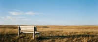 Wooden bench sits alone in vast golden grassland under clear blue sky, offering solitude and contemplation in nature.