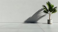 Small palm plant in gray pot casting dramatic shadow on white wall and floor, minimalist interior design composition with natural sunlight effect.