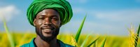 African man wearing traditional green headwrap smiling in agricultural field with corn crops under blue sky for farming and cultural diversity concepts.