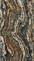 Tree bark texture with deep fissures and natural patterns in shades of gray, brown, and tan. Suitable for backgrounds, nature designs, and organic material references.