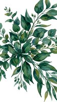 Watercolor botanical illustration of green foliage branches with layered leaves in various shades, isolated on white background for design use.