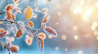 Delicate frost-covered orange leaves on branches against blurred winter sunlight background creating magical bokeh effect and seasonal atmosphere.