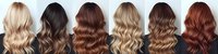Long wavy hair in different shades from blonde to brunette and red copper shown from behind on black background, professional hairstyle color palette for beauty salon.