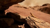 Scenic desert landscape with red sandstone formations and natural rock arch, suitable for travel, nature, and background design projects.